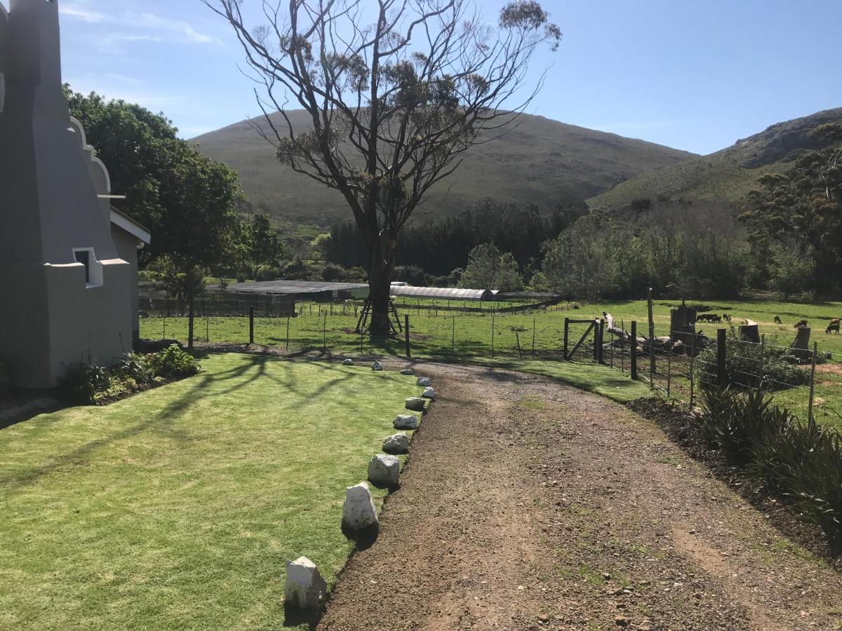 Kleine Vrede Farm Cottage Hermanus Extérieur photo