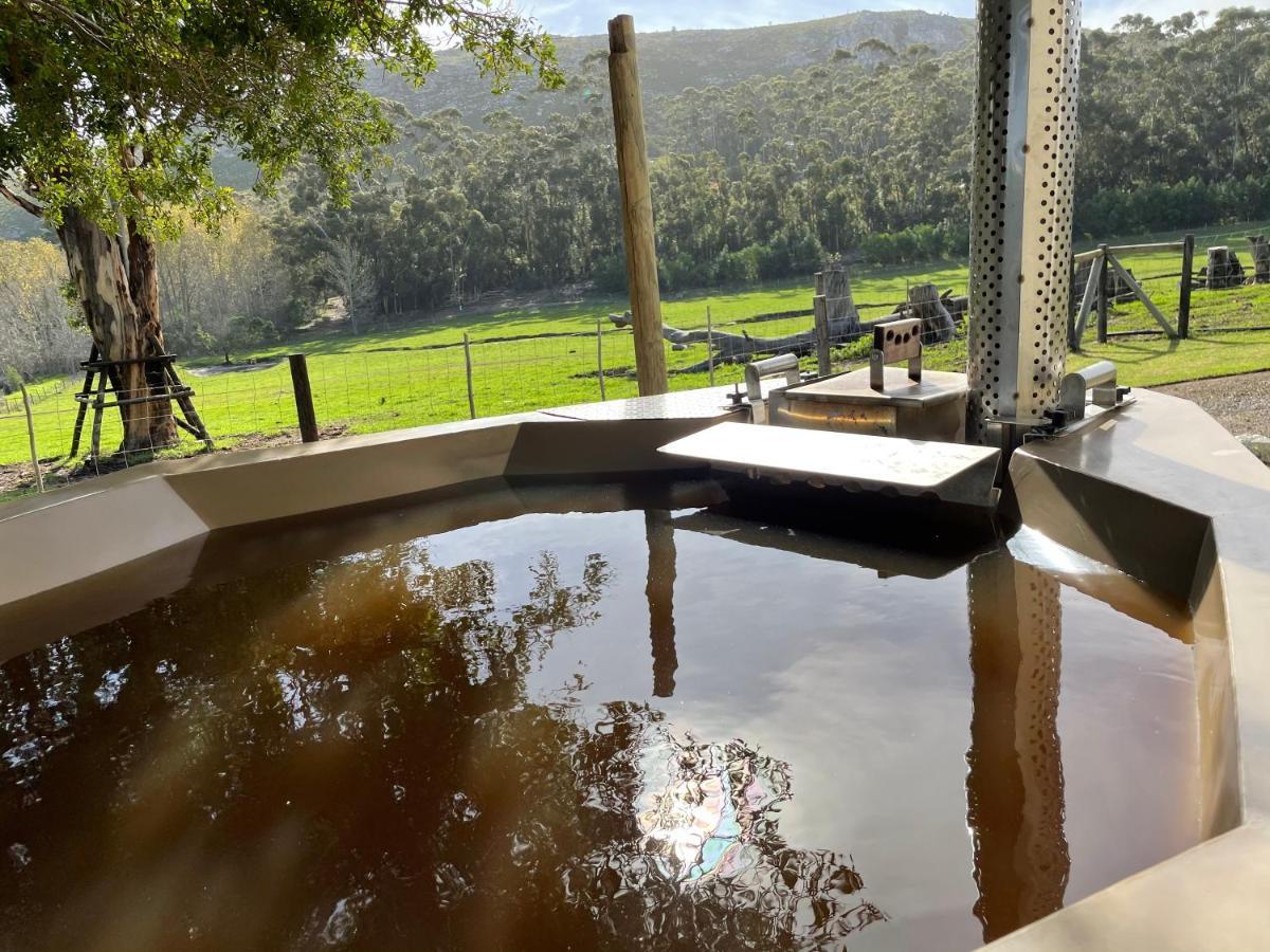 Kleine Vrede Farm Cottage Hermanus Extérieur photo