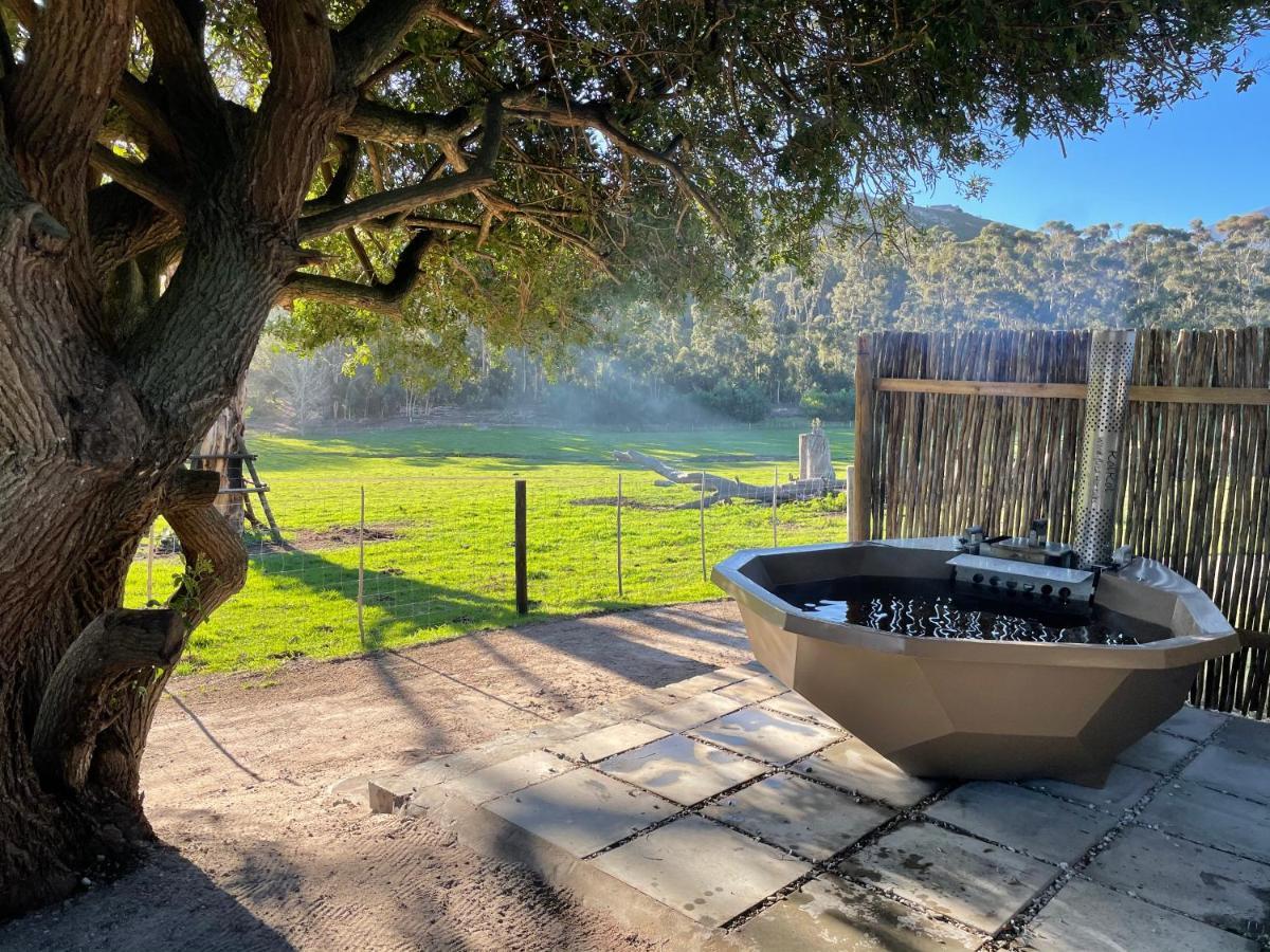 Kleine Vrede Farm Cottage Hermanus Extérieur photo
